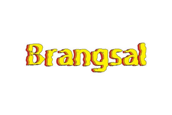 Brangsal: A Modern Serif Font for Handmade Brands