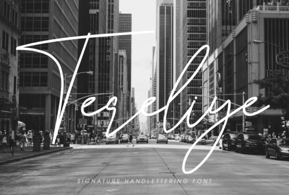 Tereliye: A Font That Speaks Volumes