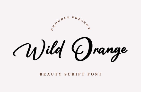 Wild Orange Font Review